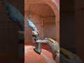 ER HAT DEN BESTEN KUKRI BLUE GEM AUSGEPACKT
