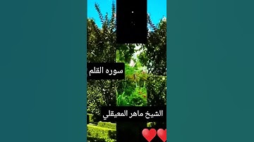# سورة القلم #الشيخ ماهر_المعيقلي #تلاوه #هادئه #قران الكريم #فيديو #شورت قصير♥️