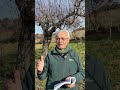 Nel silenzio del mattino, c'è un invito sottile