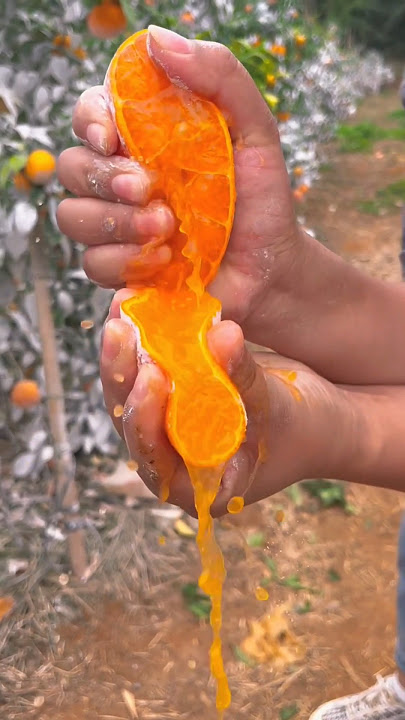 Extremely Juicy Orange #shorts