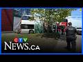 Ottawa city bus rolls into a grocery store