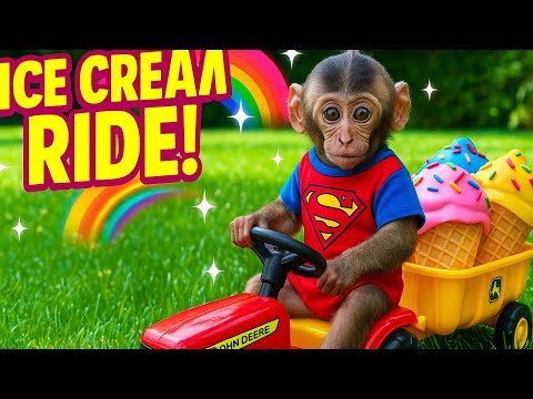 Baby Monkey’s driving
