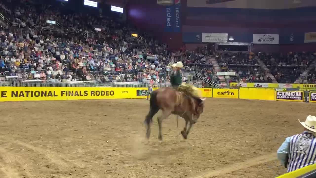 Cal Poly's Quintin McWhorter competes in saddle bronc riding at the ...