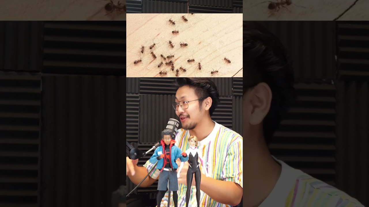 Why You Shouldn T Kill Ants 