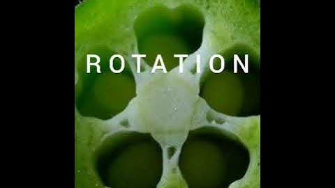 Geometric pattern that can be found in nature