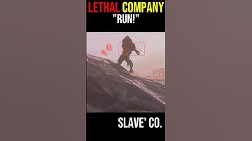 KOREAN LETHAL COMPANY HIGHLIGHT CLIP #24