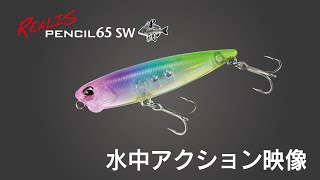 パルキーなボディが生み出す強い水押しと強烈サウンドがバイトを誘発！『レアリス ペンシル65 ソルトウォーター』