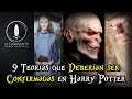 9 Teorías de Fans que deberían ser Confirmadas en Harry Potter