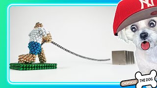 TugOfWar! Magnetic Balls Vs. Monster Magnets  Satisfying Reaction Video by @ChopsicleTheDog