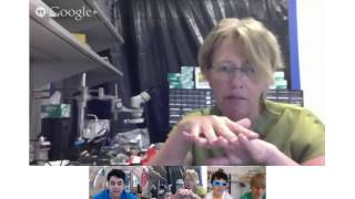 Maker Camp 2013: Making the Invisible Visible--LEDs & DIY Holograms!