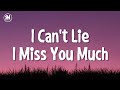 I cant lie i miss you much tiktok song