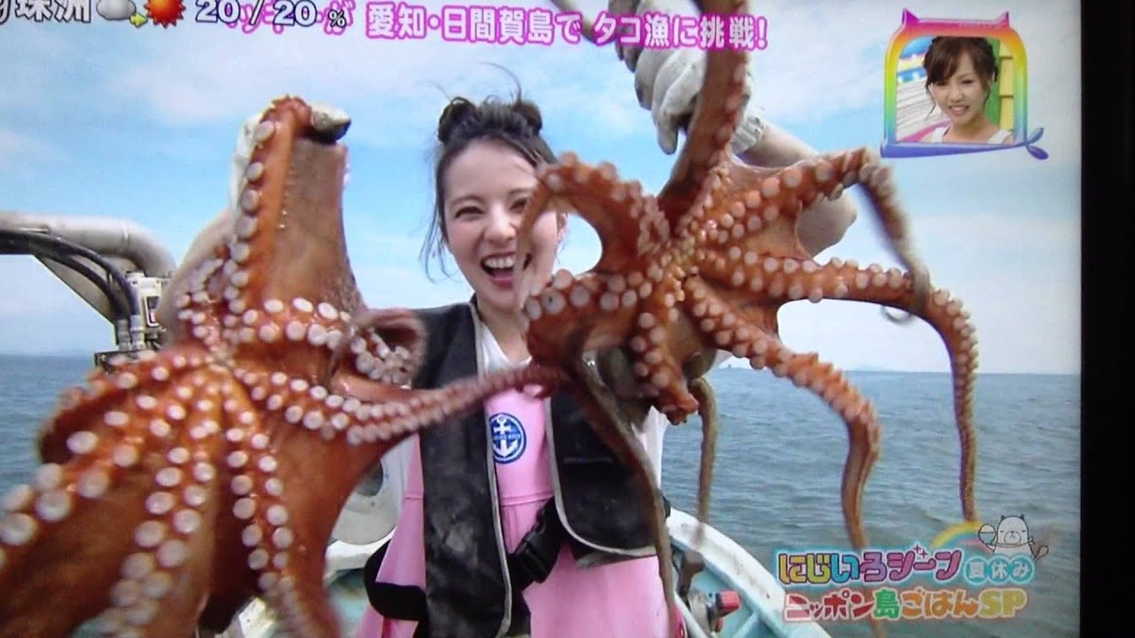 ベッキーがタコ漁師になったタコ漁の様子 Youtube