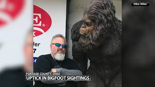 Bigfoot sightings in Ohio renew debate after reports near Cleveland area