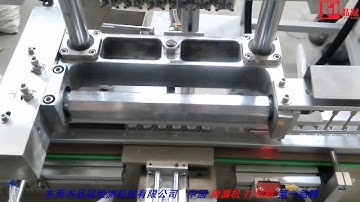 Six heads linear cap lining machine (PG-6DP)