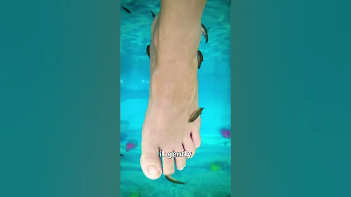 Fish Pedicures 🤔 (explained)