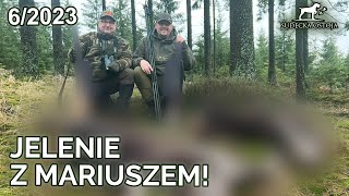 SUDECKA OSTOJA 6/2023 DEER HUNT in Poland | Forest Hunting