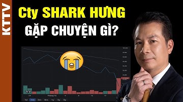 Cty của Shark Hưng đã gặp chuyện gì?