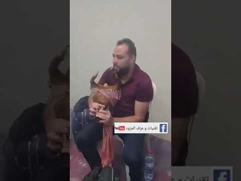 العازف مأمون يتستي قبل السهرية 