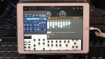 ArpBud 2 - AUv3 Midi Arpeggiator - Tutorial & Demo for iOS - Live