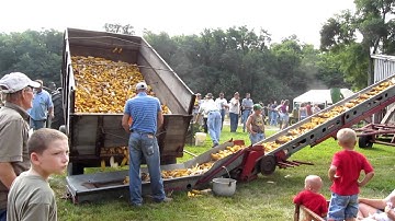 2011 Tippecanoe Steam and Power Show Unloading Ear Corn 7/29/11