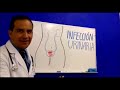 Doctor Froy - ¿Que hacer para prevenir las infecciones de las *vías urinarias? (Cistitis)