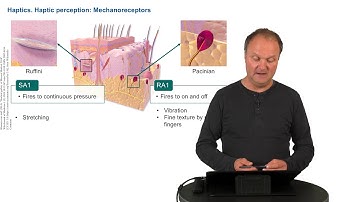 Lecture 2.1.1 - Haptics