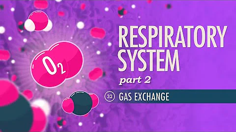 Respiratory System, Part 2: Crash Course Anatomy & Physiology #32