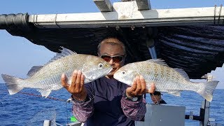 驚濤駭浪中超級巨大石鱸瘋狂亂咬-頭暈暈也要打起精神釣 