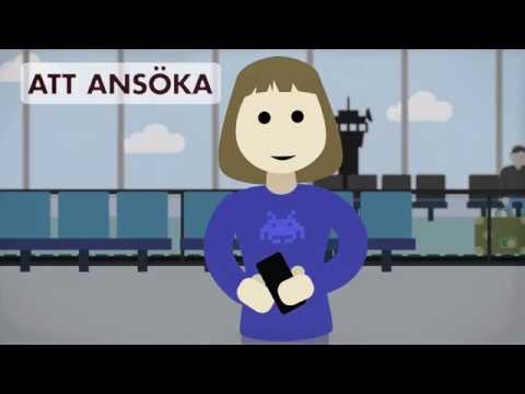 Video: Vart Ska Man Studera I Vladivostok
