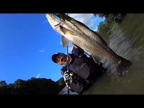 EXSENCE LURES～嶋田仁正　流！シャローランナー使い分け術～