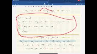 4.2. Рефлексия