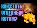 КАК СТАТЬ ОГНЕННЫМ КОТОМ ? 🔥