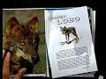 Libro Amigo Lobo. Entrevista a Carlos Sanz (2001)