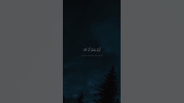 أَوَلَمۡ یَعۡلَمۡ أَنَّ ٱللَّهَ قَدۡ أَهۡلَكَ | محمد صديق المنشاوي | سورة القصص | نهاوند