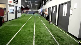Advanced QB drills-Noah Wezensky and Aidan Smith