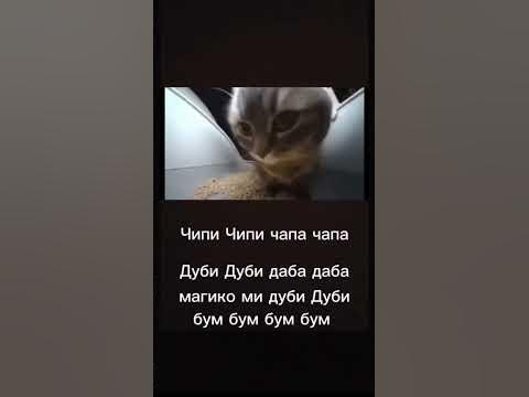 чипи чипи чапа чапа дуби дуби даба даба магико ми дуби дуби бум бум-бум ...