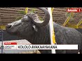 Agataliikonfuufu Pulezidenti Museveni Alayira Nkya Kololo Ayakayakana Enteekateeka Ziwedde 