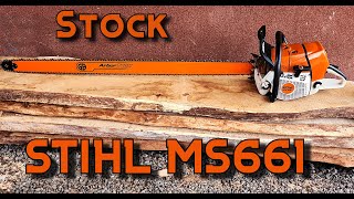STIHL MS661 Cutting big white Oak + Makita 4630