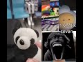 Jumpscare add round 16!!!! (Again) #shorts #pov