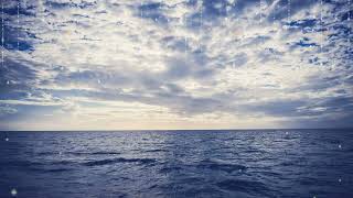 Peaceful Performance Harmonic Bliss Relaxing Waves