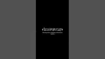 اكتب شيء تؤجر عليه 😊❤️القرآن الكريم شاشة سوداء