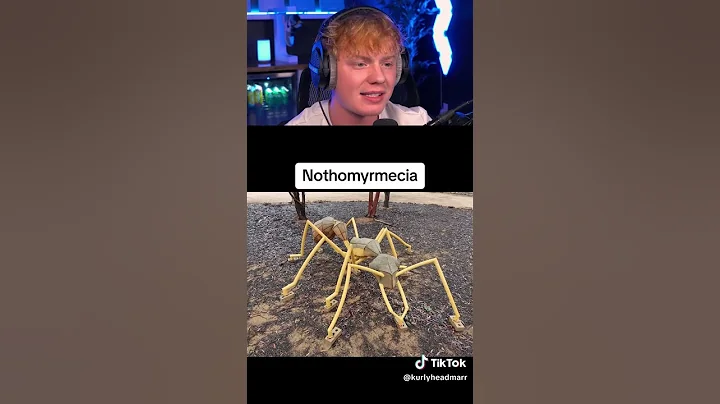 Insects That Used to Be Giants! 😱 thumbnail