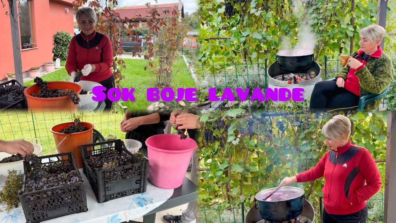  🍇 Domaći sok od grožđa - vrhunski ukus a jednostavan recept ❗️🔥