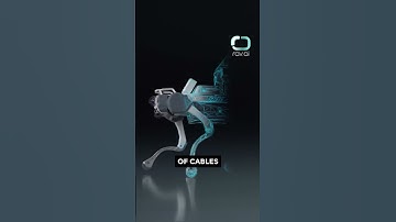 Can DEEP Robotics’ AI-Powered SPock Robot Dog Save Singapore’s Power Grid?