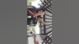 listing Abiem ngesti.mp4