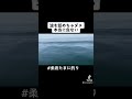 超危険!!波やうねりを見ていたら、、、#海釣り #釣り #船釣り #伊勢湾ジギング