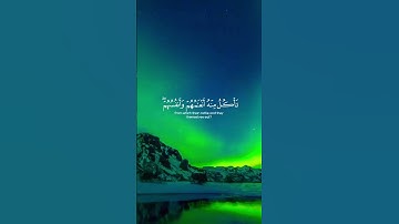 24 ثانية من الراحة النفسية 💜😌 #القرآن_الكريم #راحة_نفسية #تلاوة_خاشعة #shortvideo