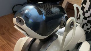 Why did Aibo ERS7 Wake Up Early And Play Music? Need advice! (It Wasn’t The Alarm)