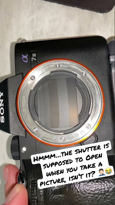 My a7iii shutter broke 😩