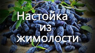 Настойка из жимолости Настойка из жимолости